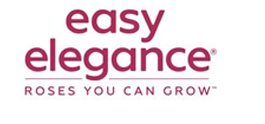 Easy Elegance