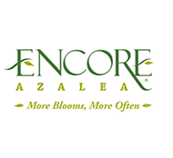 Encore&reg; Azalea